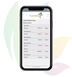 View Account Balances and Transactions